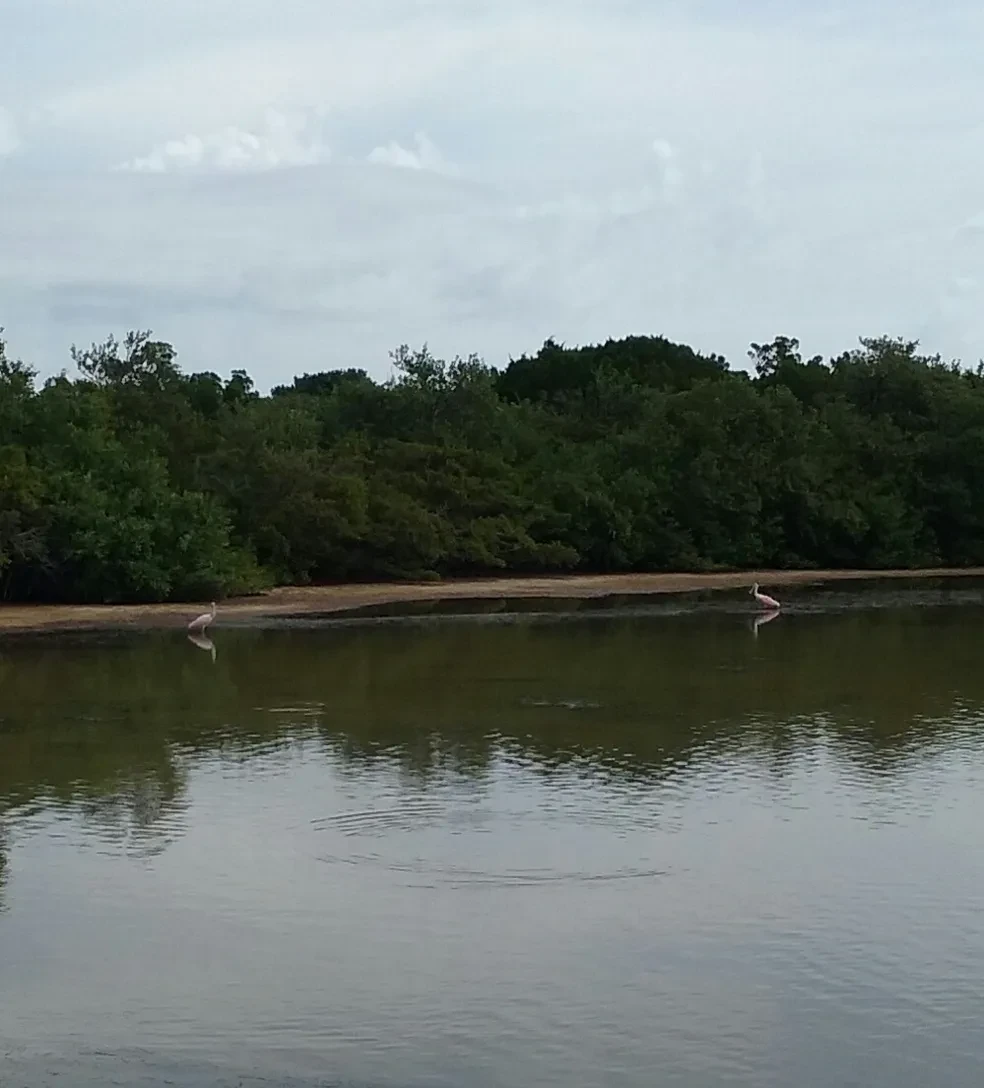 Deck boat on open Florida coastal water